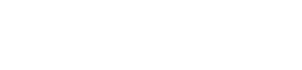 Blueberry Enterprise Services